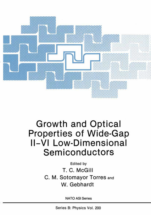 Growth and Optical Properties of Wide-Gap II&ndash;VI Low-Dimensional Semiconductors - 