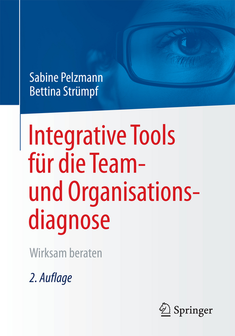 Integrative Tools für die Team- und Organisationsdiagnose - Sabine Pelzmann, Bettina Strümpf