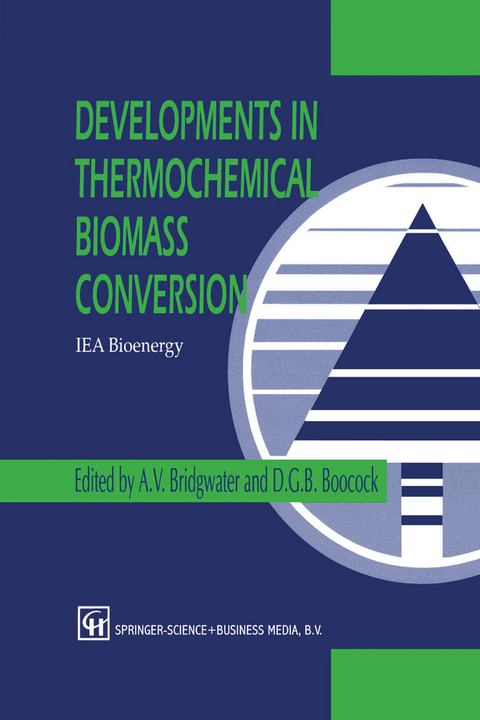 Developments in Thermochemical Biomass Conversion - 