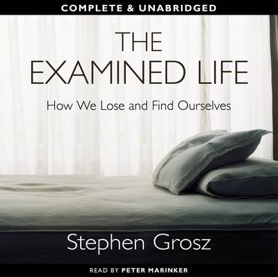 The Examined Life - Stephen Grosz