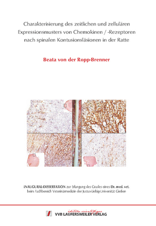 Charakterisierung des zeitlichen und zellulären Expressionsmusters von Chemokinen /-Rezeptoren nach spinalen Kontusionsläsionen in der Ratte