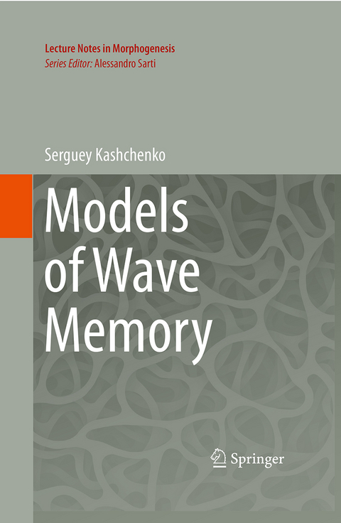 Models of Wave Memory - Serguey Kashchenko