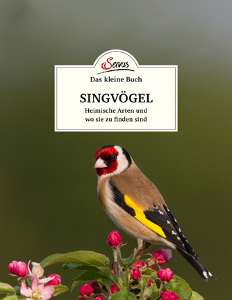 Das kleine Buch: Singv&ouml;gel - Klaus Kamolz