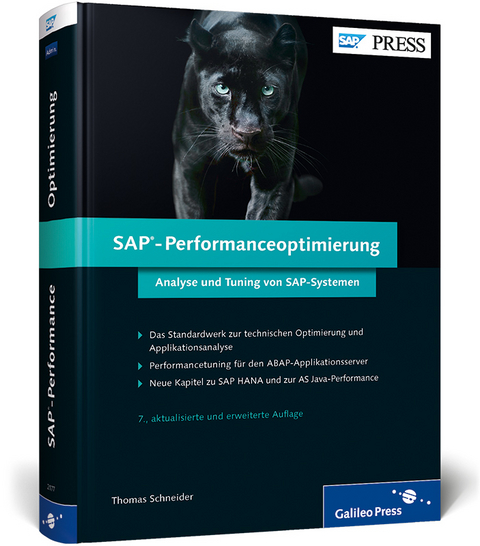 SAP-Performanceoptimierung - Thomas Schneider