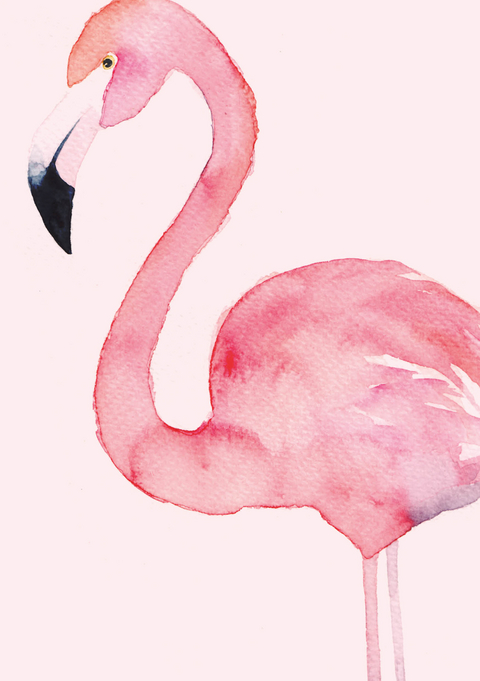 Blanko Notizbuch "Tropical" 05