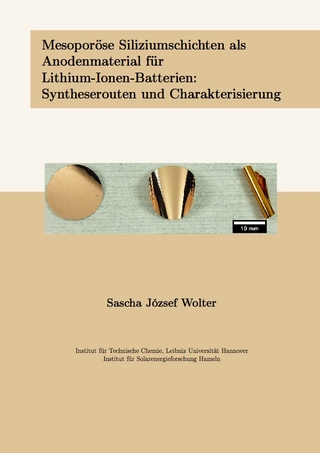 Mesoporöse Siliziumschichten als Anodenmaterial für Lithium-Ionen-Batterien: Syntheserouten und Charakterisierung