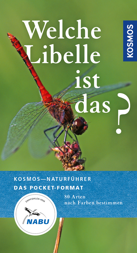 Welche Libelle ist das? - Wolfgang Dreyer