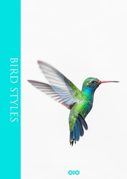 Bird Styles - 