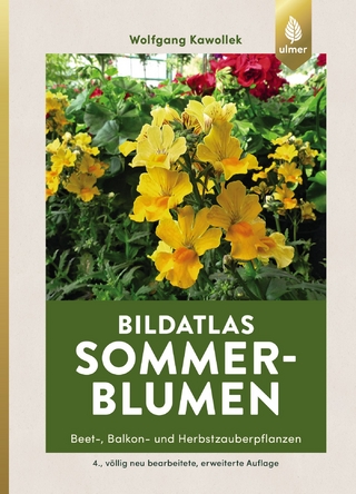 Sommerblumen