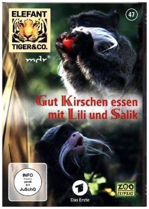 Elefant, Tiger & Co. - Gut Kirschen essen mit Lili und Salik, 1 DVD