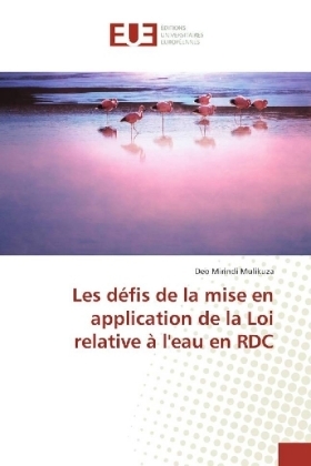 Les d&eacute;fis de la mise en application de la Loi relative &agrave; l'eau en RDC - Deo Mirindi Mulikuza