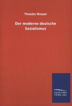 Der moderne deutsche Sozialismus - Theodor Brauer