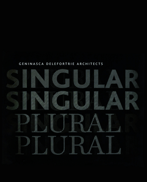 singular & plural