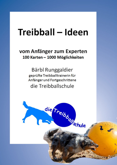 Treibball - Ideen