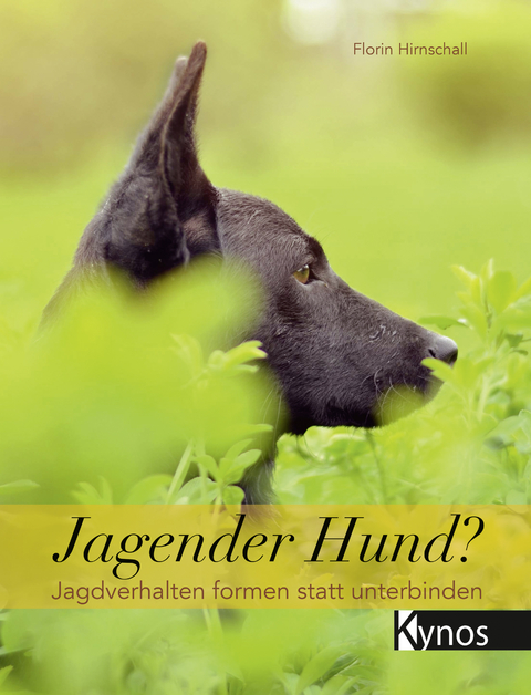 Jagender Hund? - Florin Hirnschall