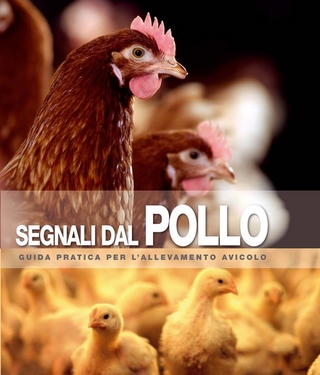 Segnali dal Pollo
