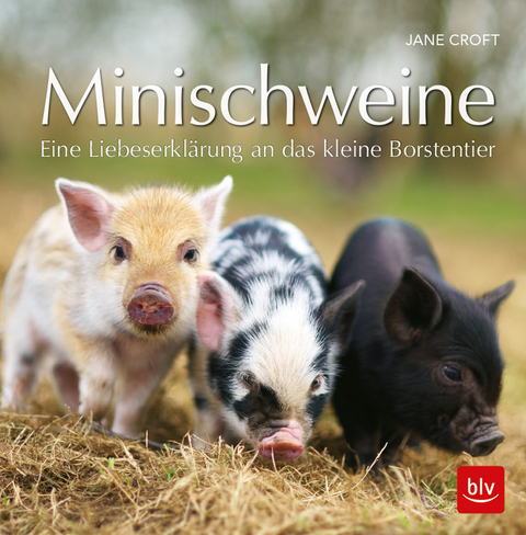 Minischweine - Jane Croft