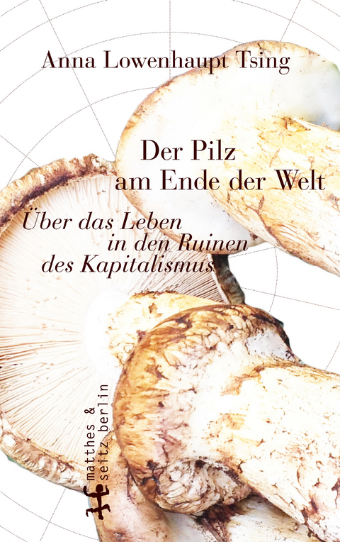 Der Pilz am Ende der Welt - Anna Lowenhaupt Tsing