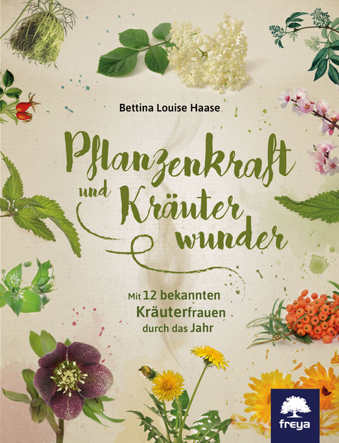 Pflanzenkraft und Kr&auml;uterwunder - Bettina Louise Haase