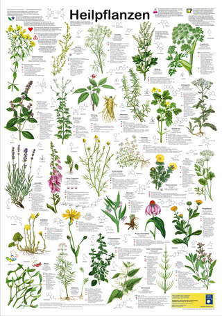 Heilpflanzen