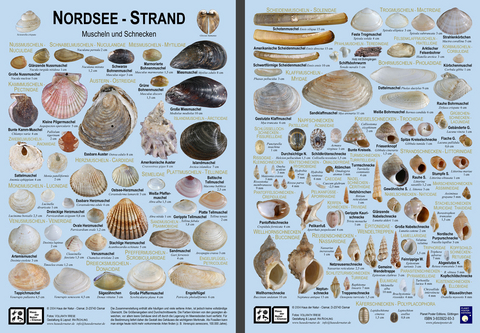 Nordsee-Strand - Vollrath Wiese, Ira Richling
