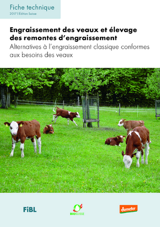 Engraissement des veaux et élevage des remontes d’engraissement