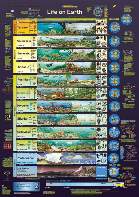 Life on Earth - F W Welter-Schultes, R Kr&auml;tzner