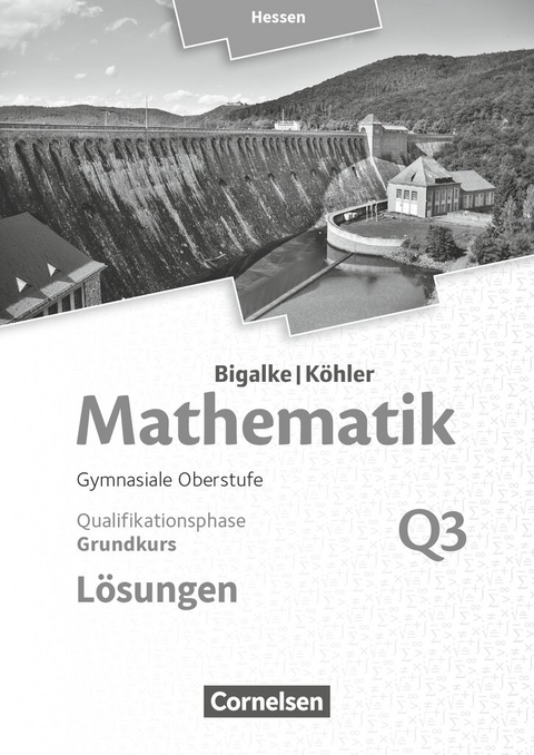 Bigalke/K&ouml;hler: Mathematik - Hessen - Ausgabe 2016 - Grundkurs 3. Halbjahr - Norbert K&ouml;hler, Anton Bigalke, Gabriele Ledworuski, Horst Kuschnerow