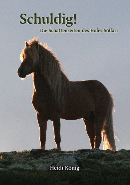 Schuldig! - Heidi K&ouml;nig