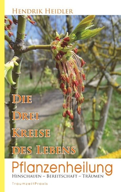 Pflanzenheilung - Hendrik Heidler