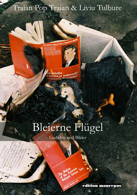 Bleierne Fl&uuml;gel - Pop Traian Traian