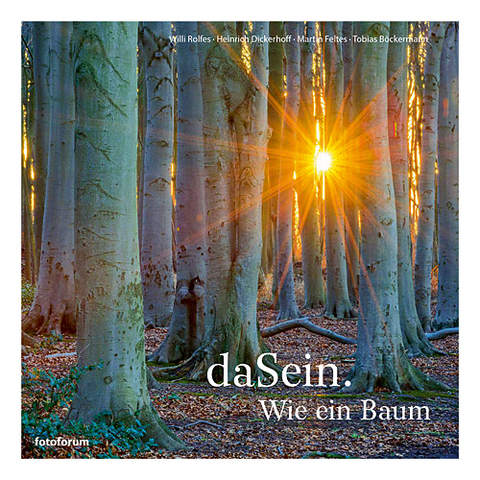 daSein. Wie ein Baum - Willi Rolfes, Heinrich Dickerhoff, Martin Feltes, Tobias B&ouml;ckermann