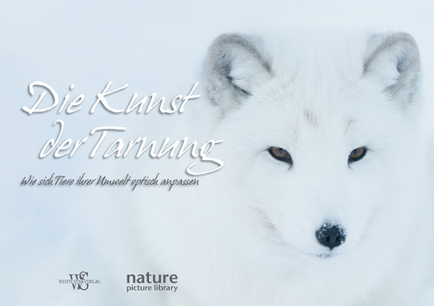 Die Kunst der Tarnung - Anna Levin