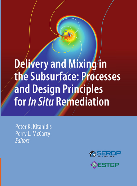 Delivery and Mixing in the Subsurface - 