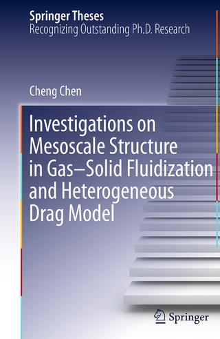 Investigations on Mesoscale Structure in Gas–Solid Fluidization and Heterogeneous Drag Model
