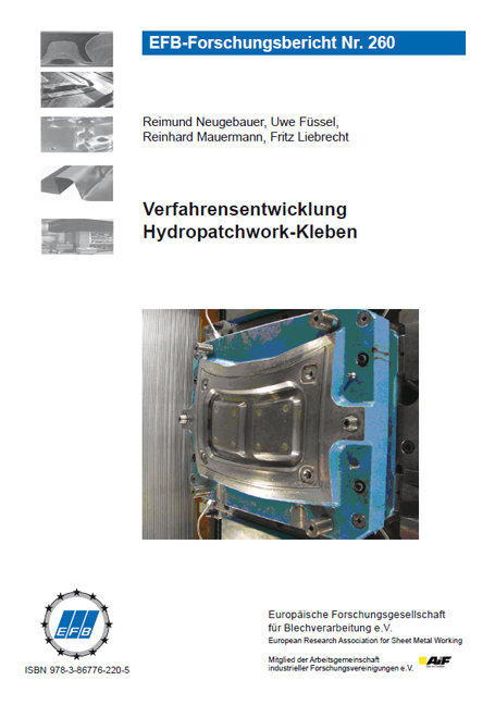 Verfahrensentwicklung Hydropatchwork-Kleben - Reimund Neugebauer, Uwe F&uuml;ssel, Reinhard Mauermann, Fritz Liebrecht