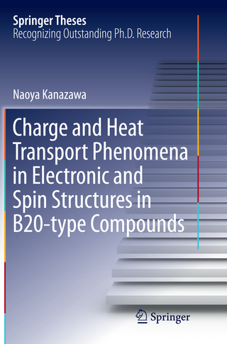 Charge and Heat Transport Phenomena in Electronic and Spin Structures in B20-type Compounds