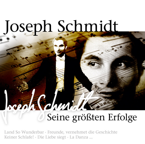 Seine gr&ouml;&szlig;ten Erfolge, 2 Audio-CDs - Joseph Schmidt