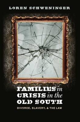 Families in Crisis in the Old South - Loren Schweninger