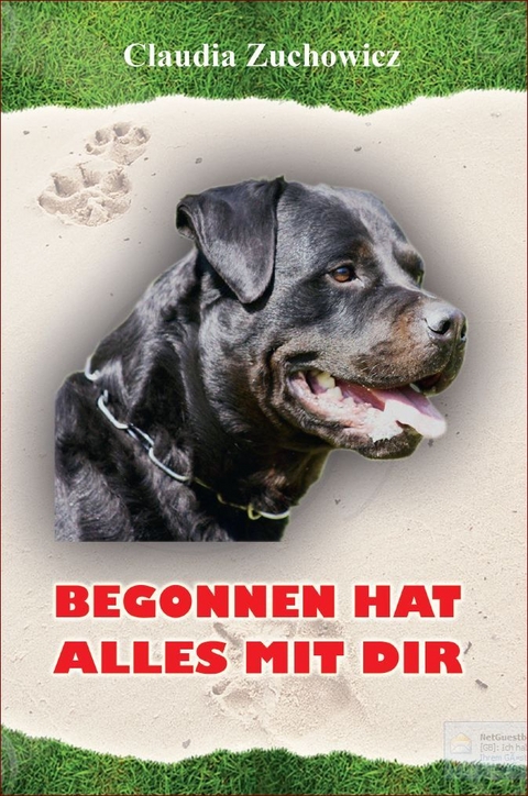 Begonnen hat alles mit Dir - Claudia Zuchowicz