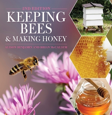 Keeping Bees and Making Honey - Alison Benjamin, Brian McCallum
