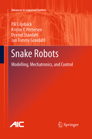 Snake Robots