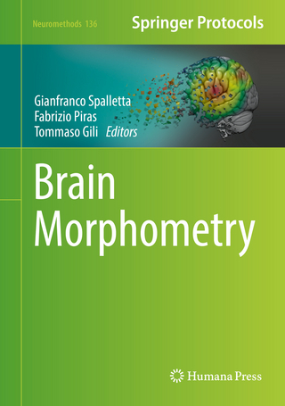 Brain Morphometry