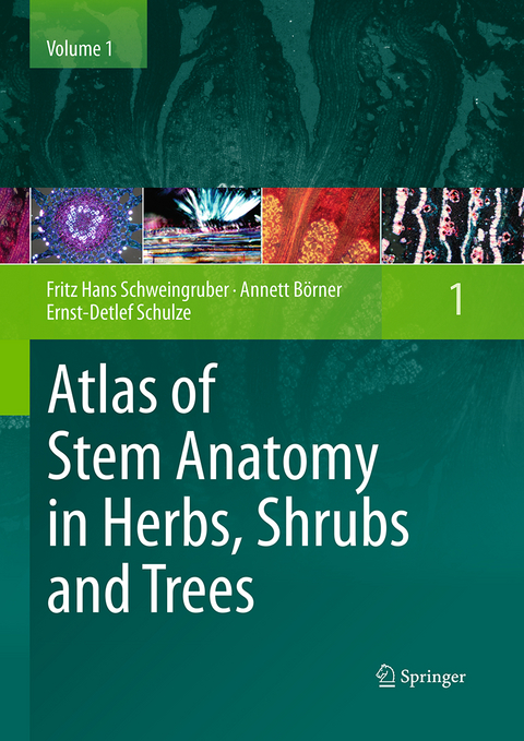 Atlas of Stem Anatomy in Herbs, Shrubs and Trees - Fritz Hans Schweingruber, Annett B&ouml;rner, Ernst-Detlef Schulze