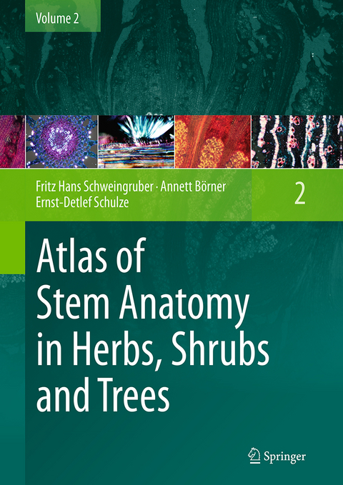 Atlas of Stem Anatomy in Herbs, Shrubs and Trees - Fritz Hans Schweingruber, Annett B&ouml;rner, Ernst-Detlef Schulze