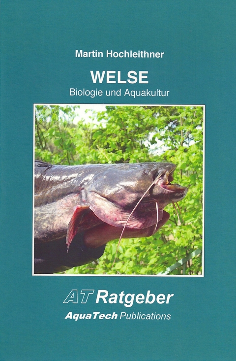 Welse (Siluridae) - Martin Hochleithner