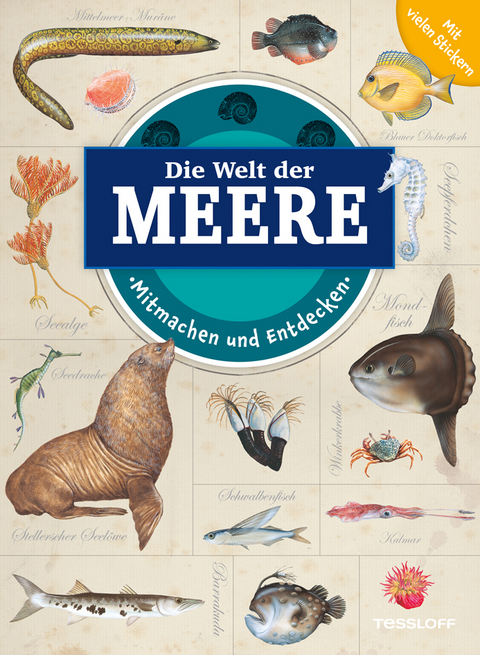Mitmachen und Entdecken: Die Welt der Meere - Polly Cheeseman