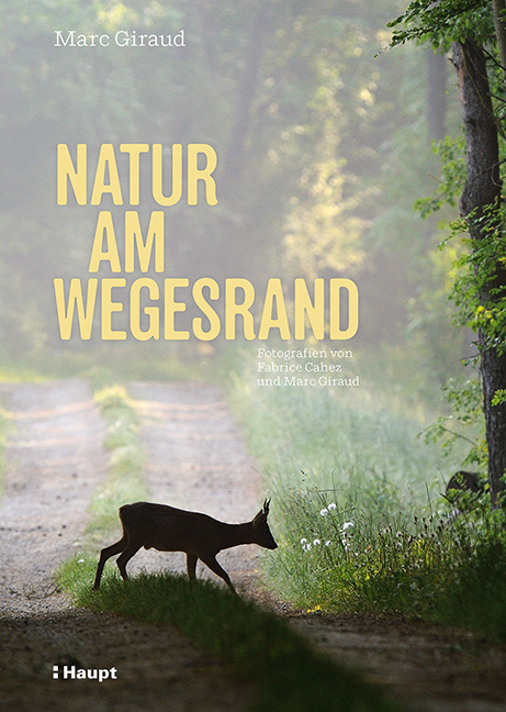 Natur am Wegesrand - Marc Giraud