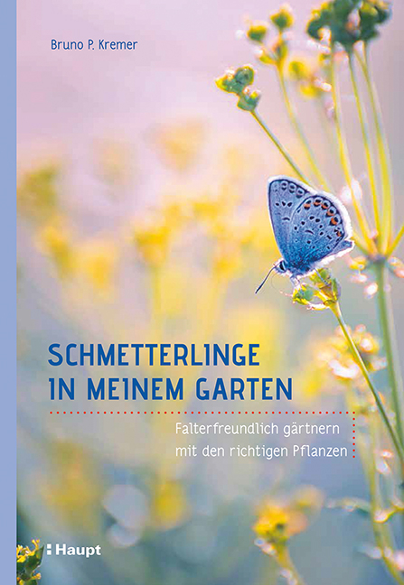 Schmetterlinge in meinem Garten - Bruno P. Kremer