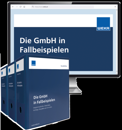 Die GmbH in Fallbeispielen - Gerda LL. M. Mag. Sch&ouml;nsgibl